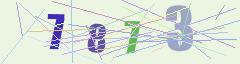 CAPTCHA validation image
