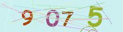 CAPTCHA validation image