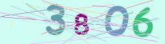 CAPTCHA validation image