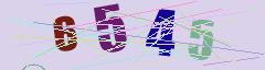 CAPTCHA validation image