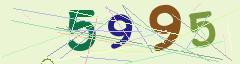 CAPTCHA validation image