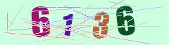 CAPTCHA validation image