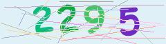 CAPTCHA validation image