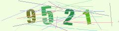 CAPTCHA validation image