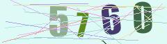 CAPTCHA validation image