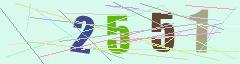 CAPTCHA validation image