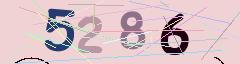 CAPTCHA validation image