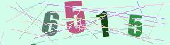 CAPTCHA validation image