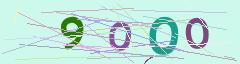 CAPTCHA validation image