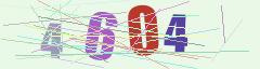 CAPTCHA validation image
