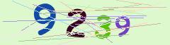 CAPTCHA validation image
