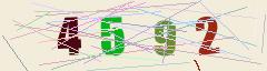 CAPTCHA validation image