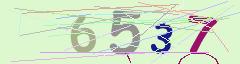 CAPTCHA validation image