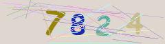 CAPTCHA validation image