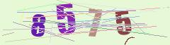 CAPTCHA validation image