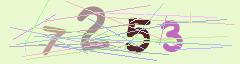 CAPTCHA validation image