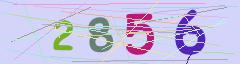 CAPTCHA validation image