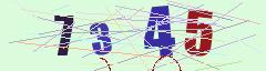 CAPTCHA validation image