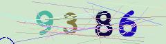 CAPTCHA validation image