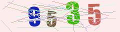CAPTCHA validation image