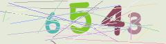 CAPTCHA validation image