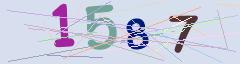 CAPTCHA validation image