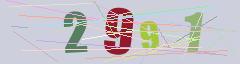 CAPTCHA validation image
