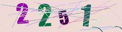 CAPTCHA validation image