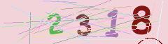 CAPTCHA validation image