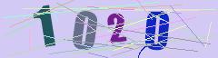 CAPTCHA validation image