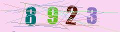CAPTCHA validation image