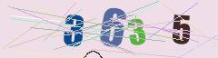 CAPTCHA validation image