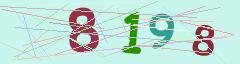 CAPTCHA validation image