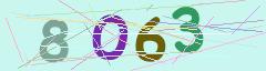 CAPTCHA validation image