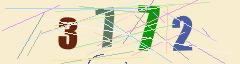 CAPTCHA validation image