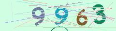 CAPTCHA validation image
