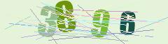 CAPTCHA validation image