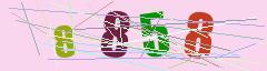 CAPTCHA validation image
