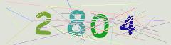 CAPTCHA validation image