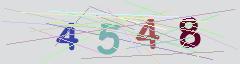 CAPTCHA validation image