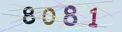 CAPTCHA validation image