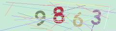 CAPTCHA validation image